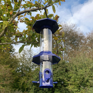 Squirrel Proof Hanging Bird Seed Feeder - Blue by Selections