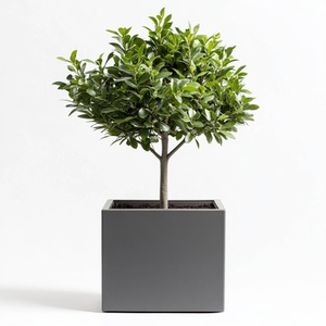 Zinc Galvanised Matte Grey Square Planter by Woven Wood