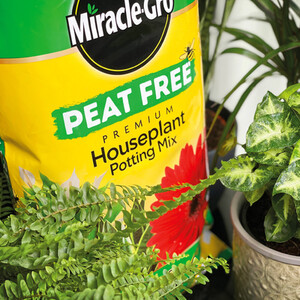 Miracle-Gro House Potting Peat Free by Miracle-Gro