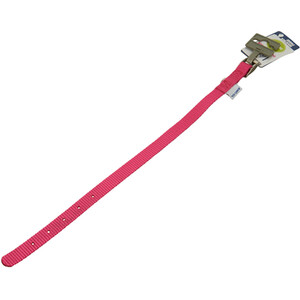 Nylon Dog Collar - Raspberry / 40cm by Ancol