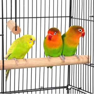 Open Top Metal Bird Cage with Feeders - Black by Yaheetech