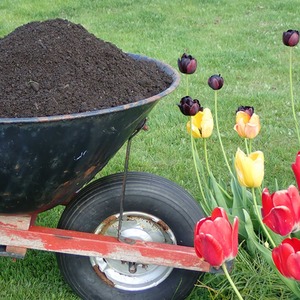 Bulk Dumpy Bags Garden Top Soil - Brown / 500l by Warma