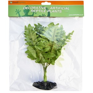 Swell Reptiles Boston Fern Plant - Green by Swell Reptiles