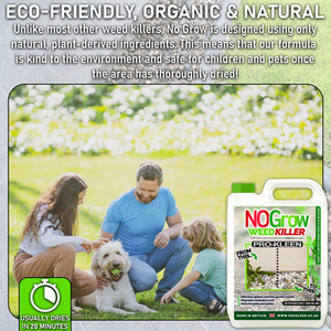 Pump Sprayer With No Grow Weed and Moss Killer - Green / 10l by Pro-Kleen