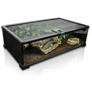 Swell Reptiles Glass Terrainium - Black by Swell Reptiles