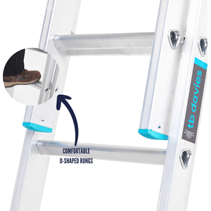 Professional Extension Ladder by TB Davies