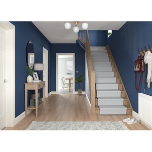 Dulux Easycare Washable and Tough Matt Paint - Sapphire Salute by Dulux