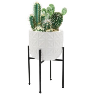 Bees Ceramic Cactus Indoor Gift Set - White by Bee's Gifts