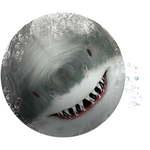 Shark Diving Ball - Grey