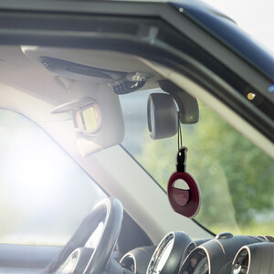 Frsh Scents Oil Diffuser - Black Cherry by Frsh Scents