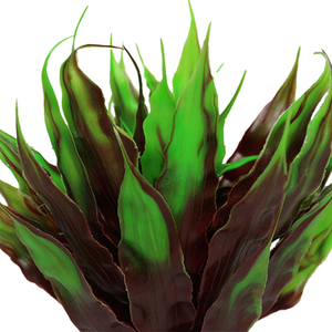 Swell Reptiles Cactus Plant - Green by Swell Reptiles