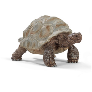 SCHLEICH Wild Life Giant Tortoise Toy Figure - 14824 - Green by SCHLEICH