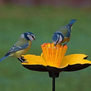 Cast Iron Daffodil Bird Feeder Flower Dish - Yellow / 2 by Selections