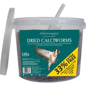 Dried Calciworms by Johnston & Jeff