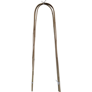U-Shape Bamboo Canes - 120cm