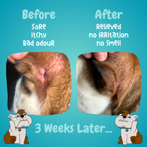 Dog Wrinkle Wipes - White Wipes by Bully Beauty LTD