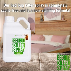 Bed Bug Killer With Pump Sprayer - Clear / 5l by Xterminate