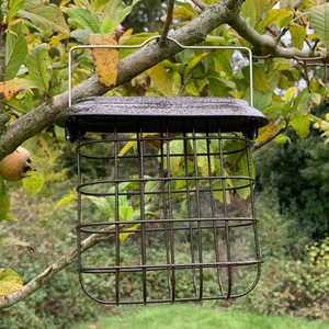 Hanging Suet Block Bird Feeder for Bird Feeding Stations - Grey / 2 by Selections