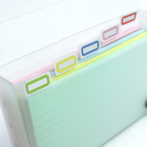 Luxpad Carry Case With Revision Cards