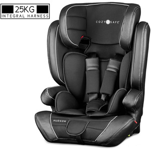 Hudson Group 1-2-3 Child Car Seat - Black by Cozy N Safe