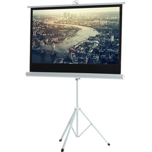 Portable Projector Screen with Metal Tripod Stand - White / 72 Inches by Livingandhome
