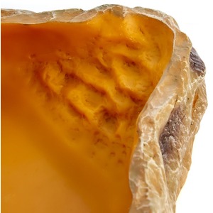 Swell Reptiles Water Dish - Yellow / 20cm by Swell Reptiles