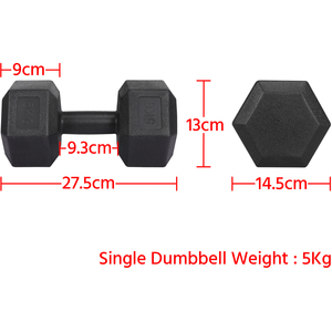 Set of 2 Dumbbells for Strength Training Aerobic - Black / 10kg by Yaheetech