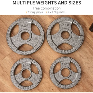 HOMCOM Weight Plates Grip Plate Sets - Silver / 4 by HOMCOM