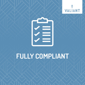 Portable Camping BBQ includes 2 x Mugs and Kettle by Valiant