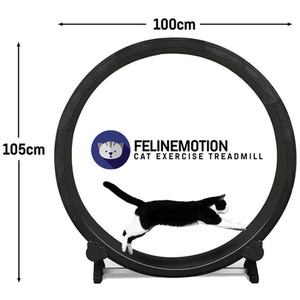Cat Treadmill Cat Exercise Running Wheel - Black - Black by Felinemotion