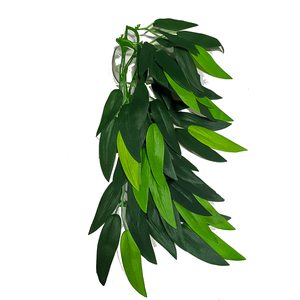 Swell Reptiles Ruscus Plant by Swell Reptiles