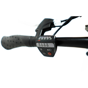 Basis Boxer Electric Folding Bike, 24