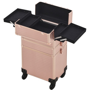 Professional Beauty Case on Wheels by Livingandhome