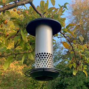 Squirrel Resistant Hanging Bird Mealworm Feeder - Grey by Selections