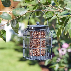 Squirrel Proof Peanut Bird Feeder - Grey by Garden Mile