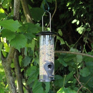 Hanging Seed Bird Feeder - Transparent by Garden Mile