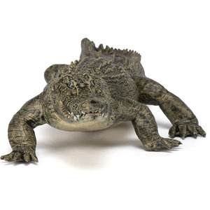 PAPO Wild Animal Kingdom Alligator Toy Figure - Black by PAPO