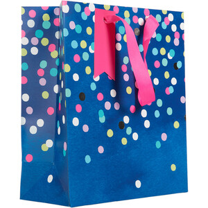 Pack of 2 Polka Medium and Small Gift Bags - Blue and White