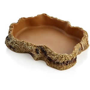 Swell Reptiles Food Dish by Swell Reptiles
