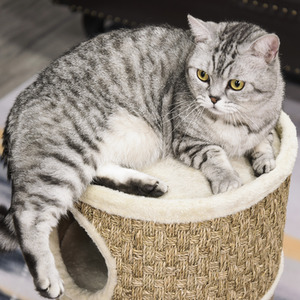 PawHut Cat Scratching Barrel - Brown by PawHut