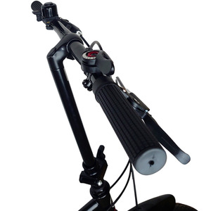 Dallingridge Freedom 20