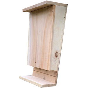 Wooden Bat Box with Landing Perch - Brown / 0.75kg by Selections
