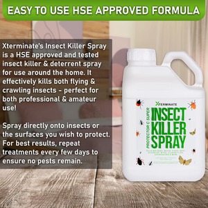Insect Killer With Pump Sprayer - Clear / 3l by Xterminate