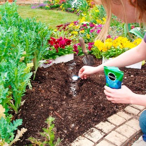 Water Retaining Gel Crystals - White by Miracle-Gro