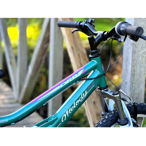 Dallingridge Melody Girls 20In Full Suspension Mountain Bike - Metallic Teal by Dallingridge