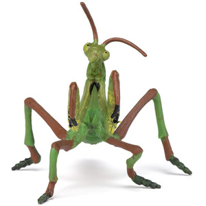 PAPO Wild Animal Kingdom Praying Mantis Toy Figure - Green by PAPO