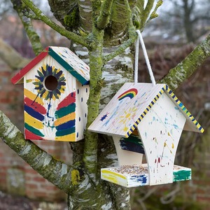Gardman Paint Your Own Wild Bird Nest Box - Pine wood by Gardman
