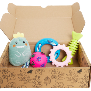 5 Pcs Dog Toy Set for Small Dog - Random by Bristar