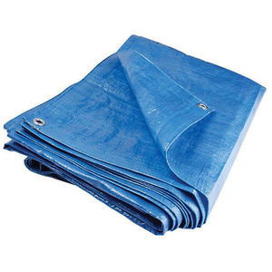 Waterproof Tarpaulin Groundsheet Blue by True Products