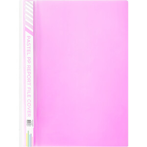 Pastel Report File Cover